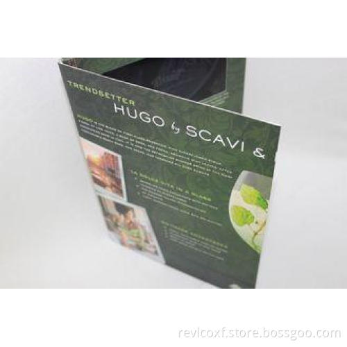 fastival gift LCD Video Brochure with 2GB memory , 10.1 inc